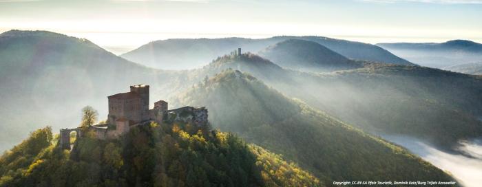 Pfalzliebe