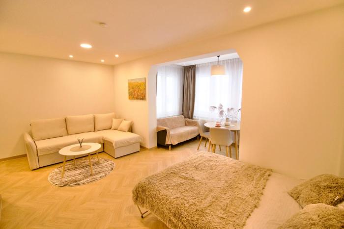 Cozy city centre apartment