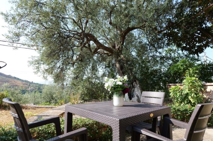 Green Villa in Delvine
