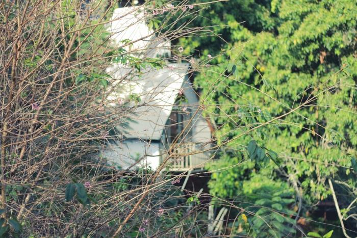 Peaceful Homestay