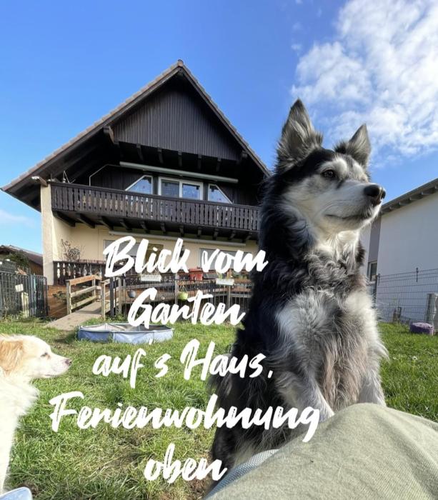 JOY Ferienwohnung mit Hund Edermünde