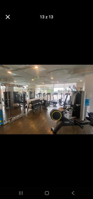 Miami Tower Premium Mariscal