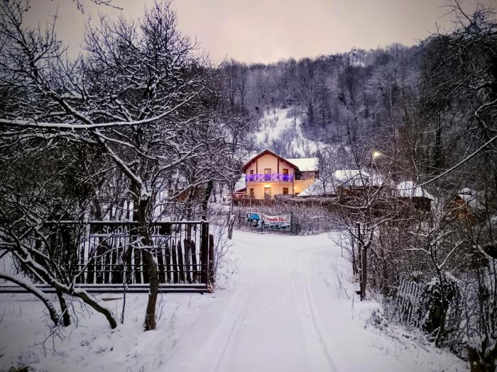 Cabana aproape de Straja