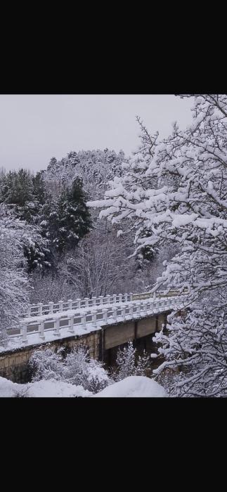 Casas Rurales Chon Alto Tajo