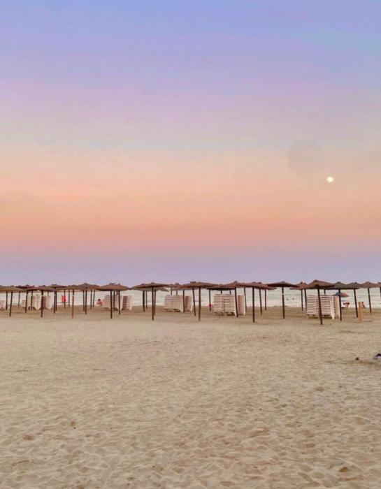 Grand appartement bord de mer refait à neuf 3 chambres