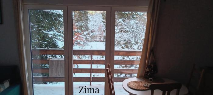 Widny Jaś zaprasza z psem nad jezioro na Kaszubach