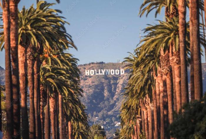 Snazzy 3BR Apt Hollywood with Pool & Spa