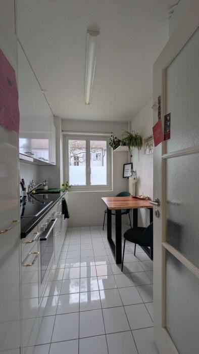 Cozy Appartement in Zürich