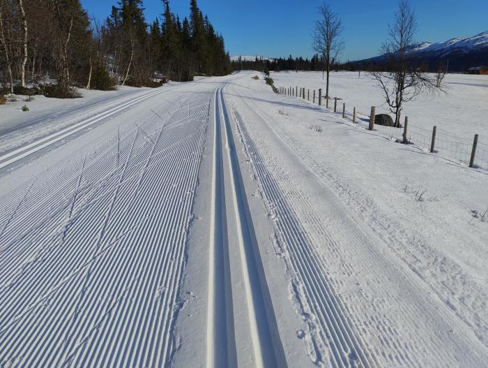 Synnseter, Leilighet 101, Fjellstuguvegen, Nord-Torpa