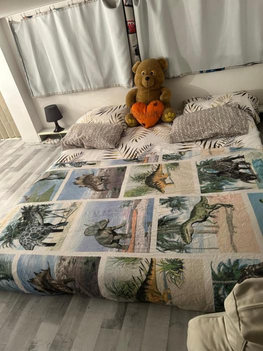 Belle chambre à sous pente au cœur de Bruxelles