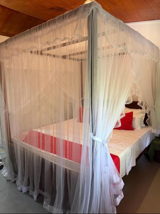 The Bamboo Canopy