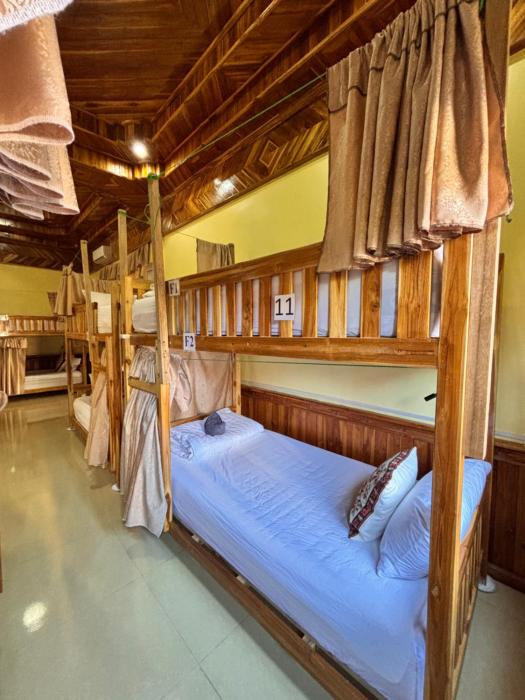 Haven Backpackers Hostel & Tours