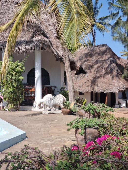 Beach Paradise with Kite, Dive and more