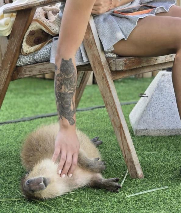 Capybara Zen Resort And Spa