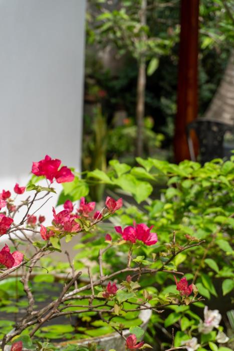 Shelburne Home Villas Ahangama