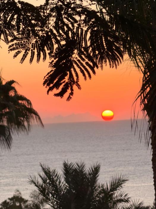 Appartamento Domina Coral Bay