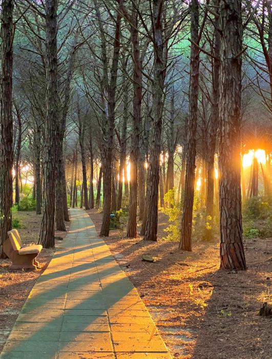 Casa Vacanze "Pizzo Sorriso Del Mare"