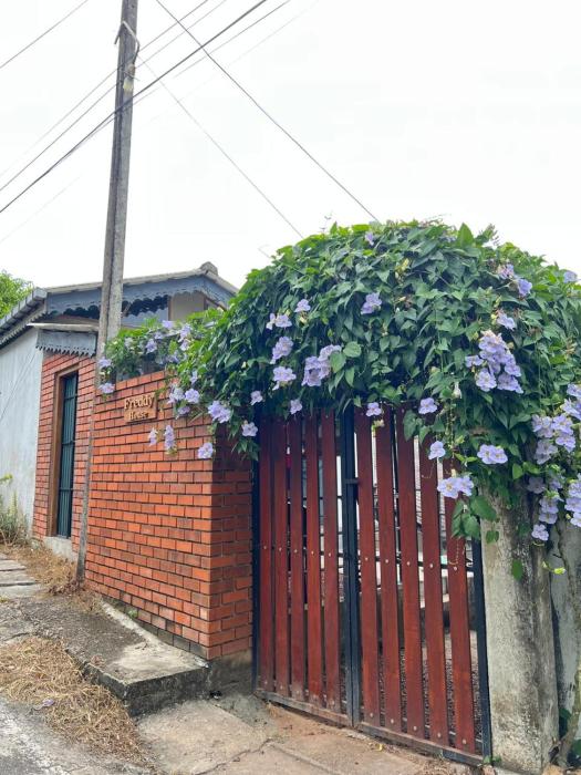 Freddy House