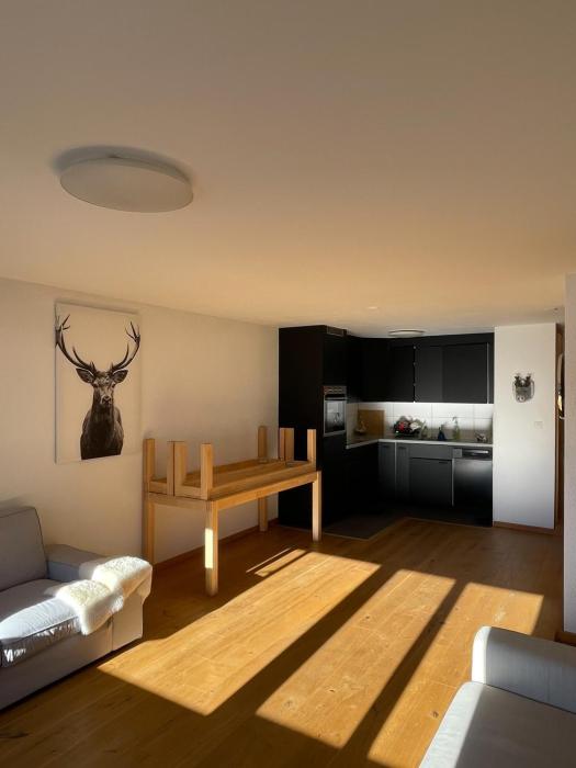 Bright accommodation in the centre - Haute-Nendaz