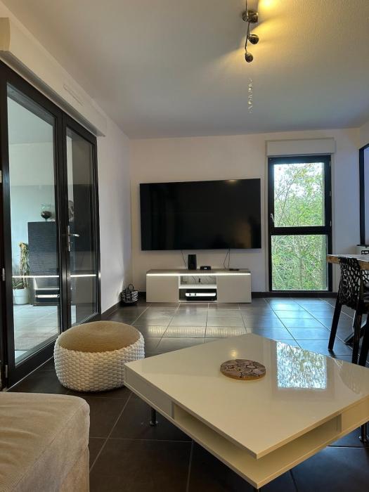 Cozy & sporty 2-bedroom apartment near Blagnac