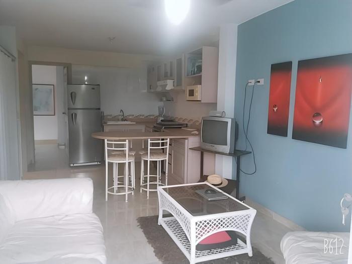 Carnaval in Tonsupa Pool Beach and Relax