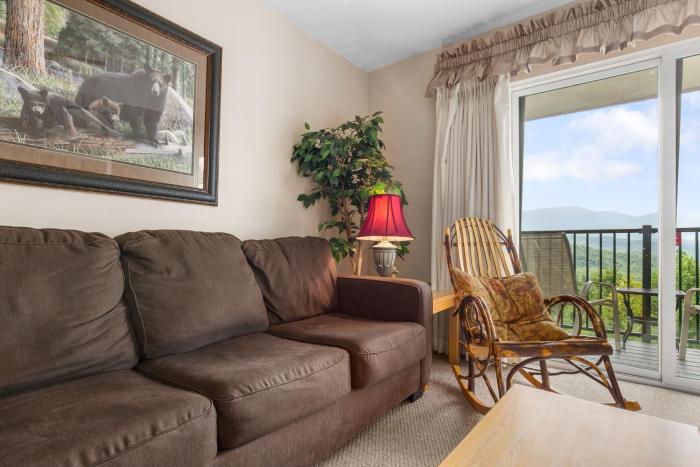 Deer Ridge Mountain Resort D301