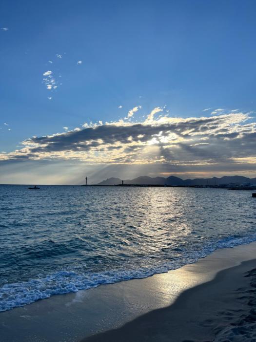 Cannes Center Appartement F9