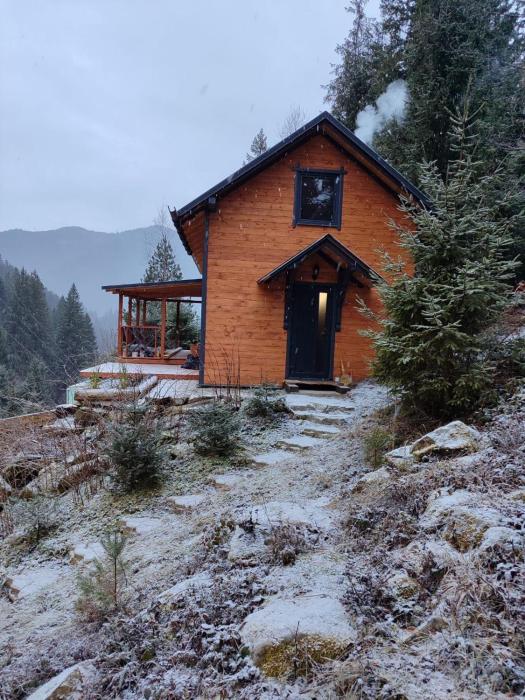 Шале над скелею