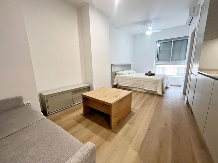 Loft en el Centro De Valencia Botánico 1