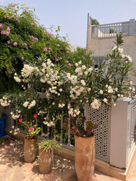 Ryad de charme Dar Nova