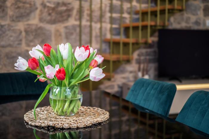 Vitturi Heritage Apartment