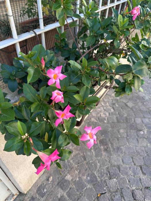 RedboX apartment for 2 people