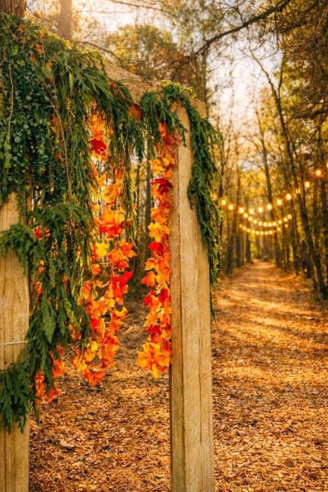 Tree Farm Stay Fire Pit & Grill WOW-King Suite