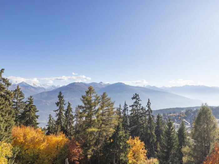 Apartment Vermala Soleil B 13 COMBI by Interhome