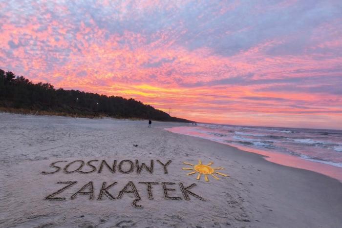 Sosnowy Zakątek Stegna- wędkowanie, rowery, plac zabaw