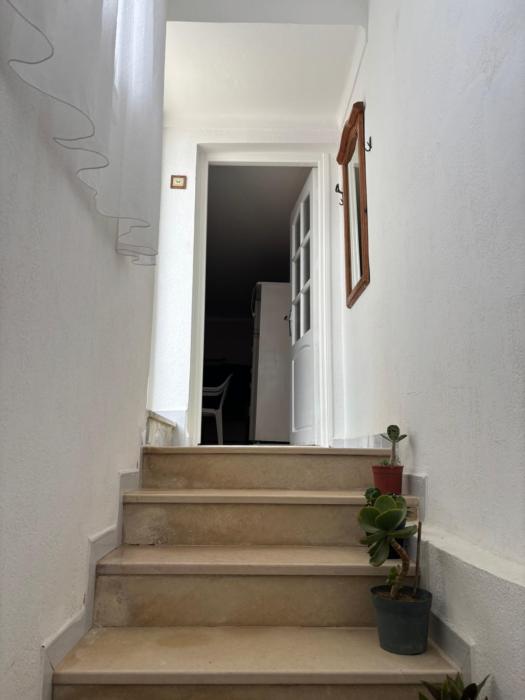 Selmane cosy appartement