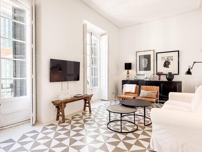 Spacious Apartment in Malaga Old Town REMS