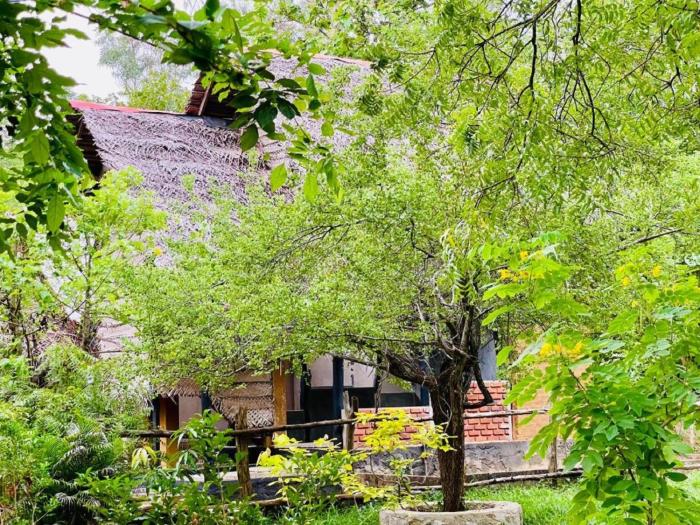 Sigiriya Coconut Shade Resort
