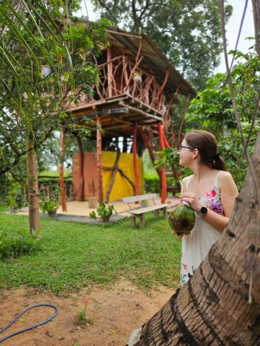 Farming Tree House