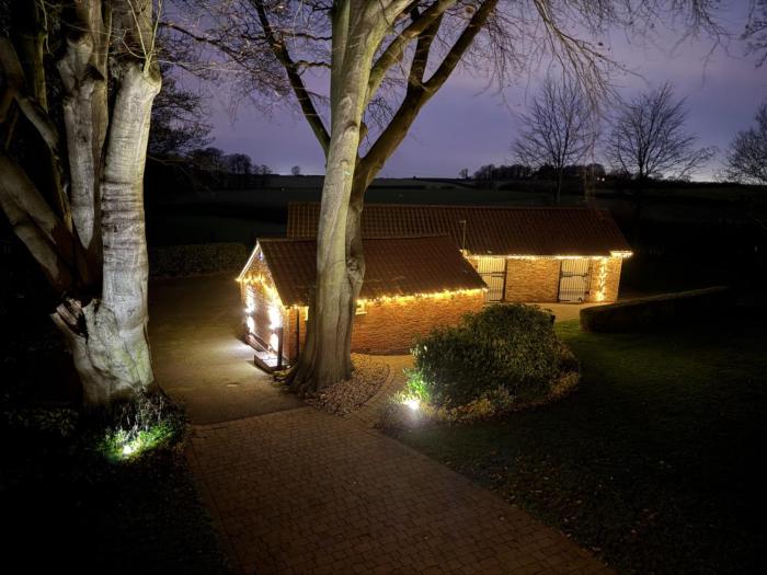 Crossways Beech Tree