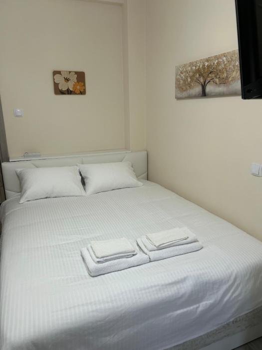 Stylish City Apartment