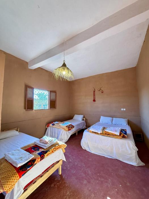 Camping Les Palmeraies - Oasis Escape Tagounite