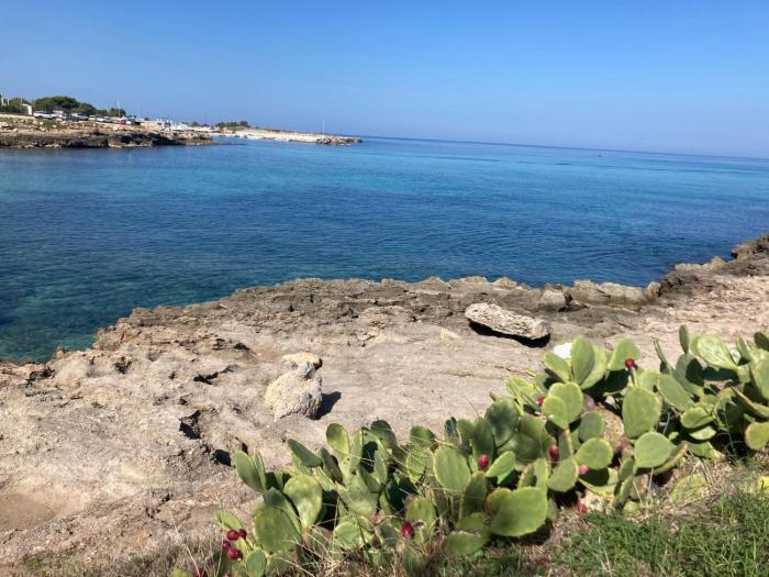 Charming Villa by the Sea in Sicily