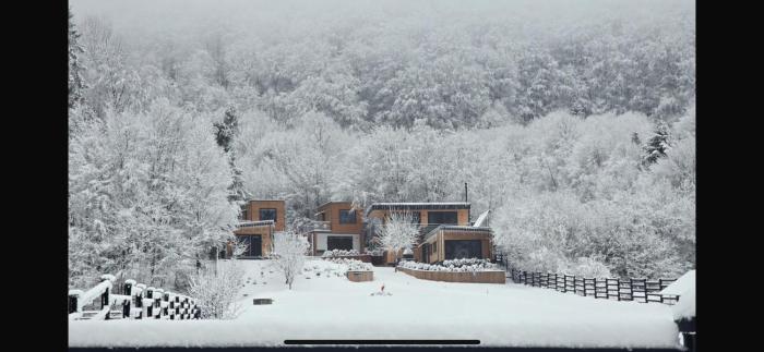 Panoramic Kub Sucevita