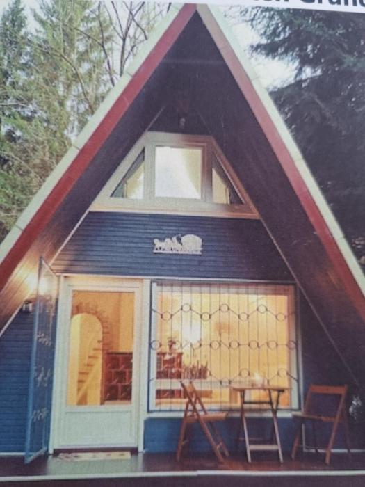 Abenteuerurlaub im Tannenwald