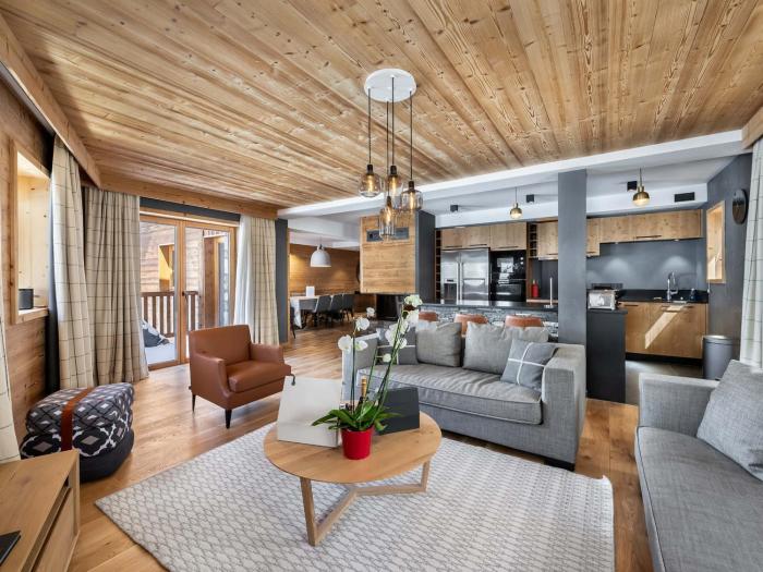 Appartement spacieux, cosy avec cheminée, proche pistes et école de ski, idéal pour familles - FR-1-567-12