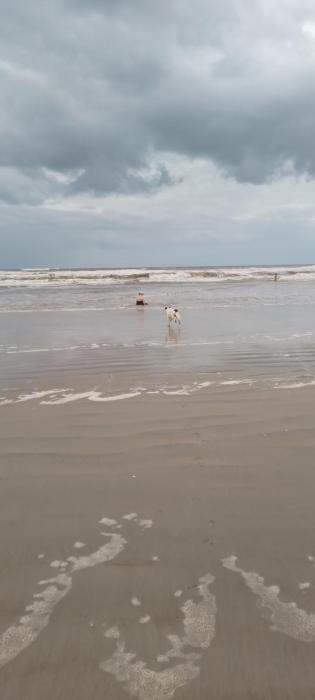 Casa de praia na Jureia