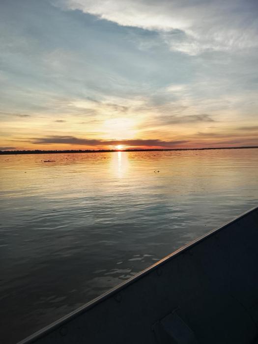 Eco hostal El Viejo Bosque