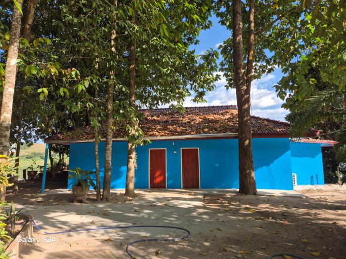 River Mekong guesthouse bungalows