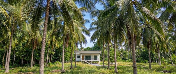 The Coconut Villa